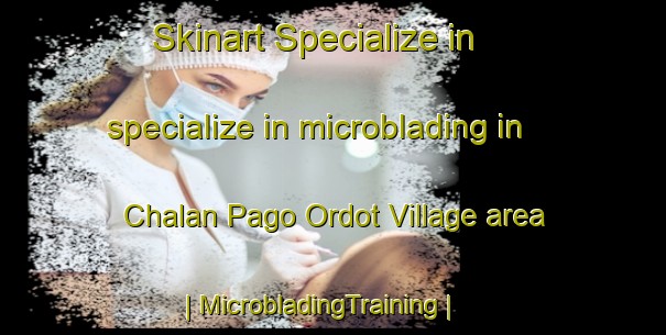 Skinart Specialize in specialize in microblading in Chalan Pago Ordot Village area | MicrobladingTraining | MicrobladingClasses | SkinartTraining-Guam
